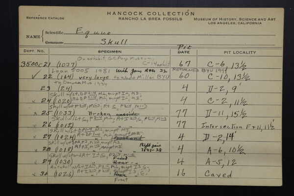 NCC 3500 (3)
